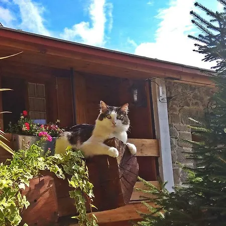 Country house Chale Pouso Da Serra - Casas De Montanha *