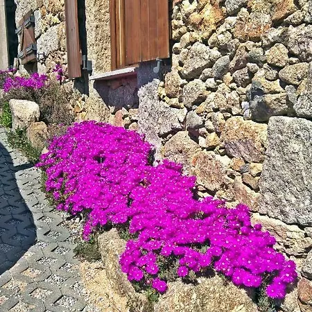 Chale Pouso Da Serra - Casas De Montanha * Costilhao
