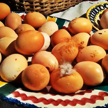 Country house Chale Pouso Da Serra - Casas De Montanha