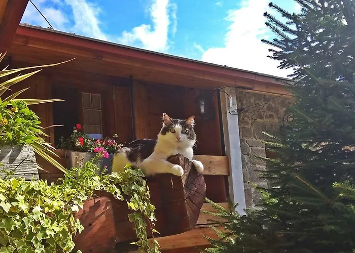 Lantställe Chale Pouso Da Serra - Casas De Montanha *