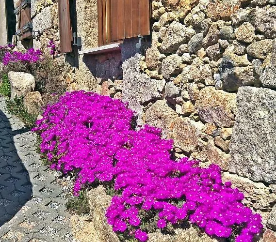 Chale Pouso Da Serra - Casas De Montanha * Costilhao