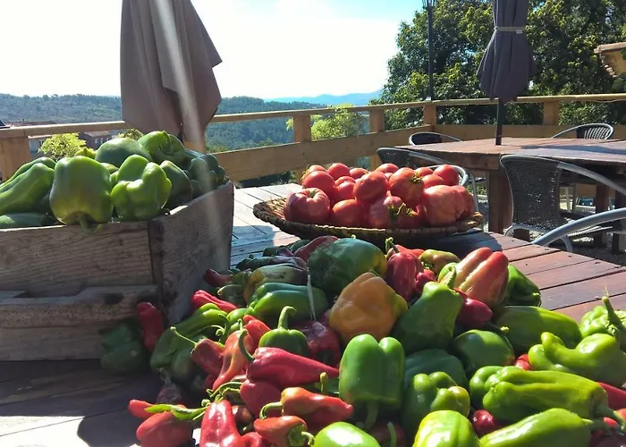 Séjour à la campagne Chale Pouso Da Serra - Casas De Montanha Costilhao