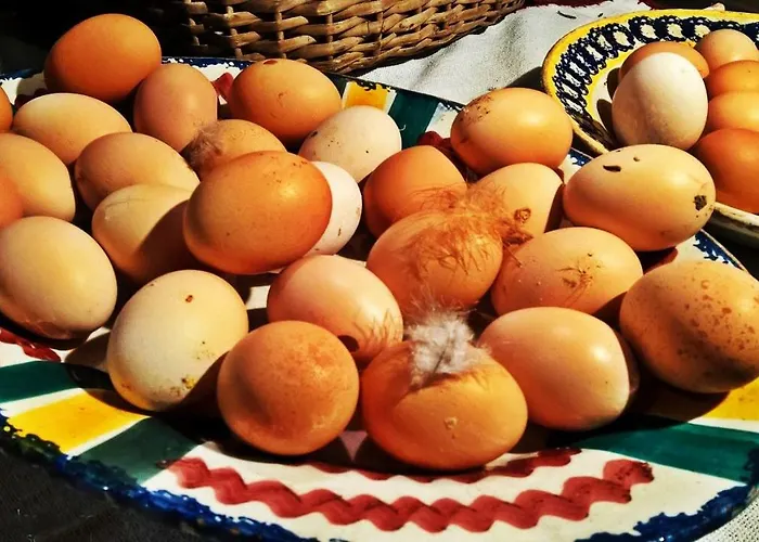 Lantställe Chale Pouso Da Serra - Casas De Montanha